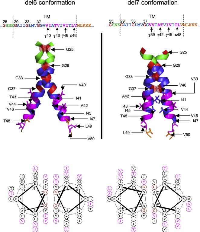 Figure 7