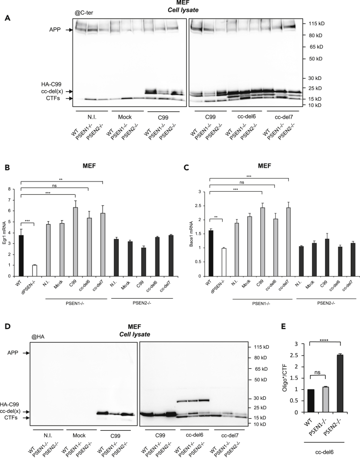 Figure 5