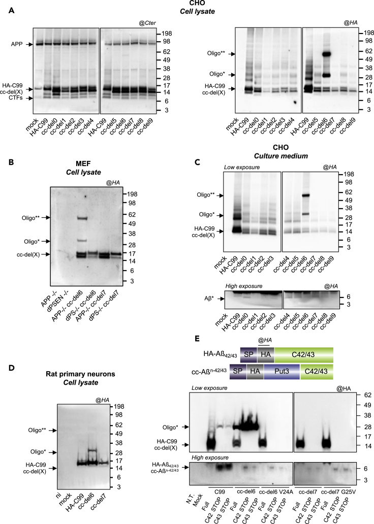 Figure 4