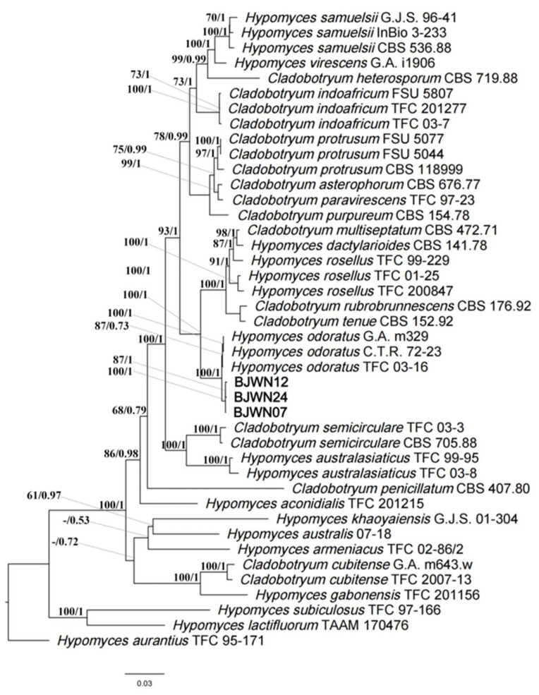 Figure 3