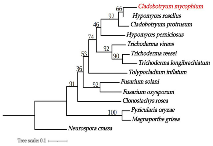 Figure 6