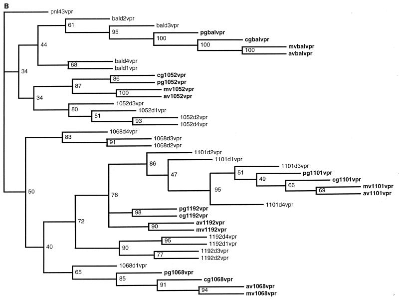 FIG. 8