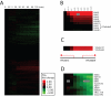 FIGURE 6: