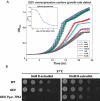 FIGURE 5: