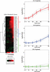 FIGURE 7: