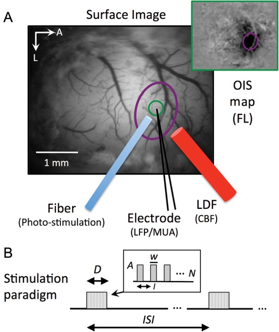 Figure 1.