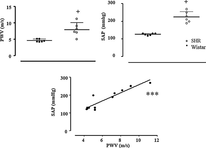 Fig. 7