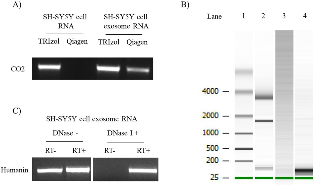 Figure 7.