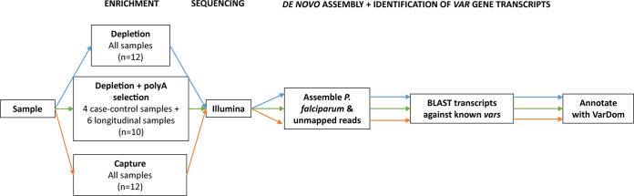 FIG 1