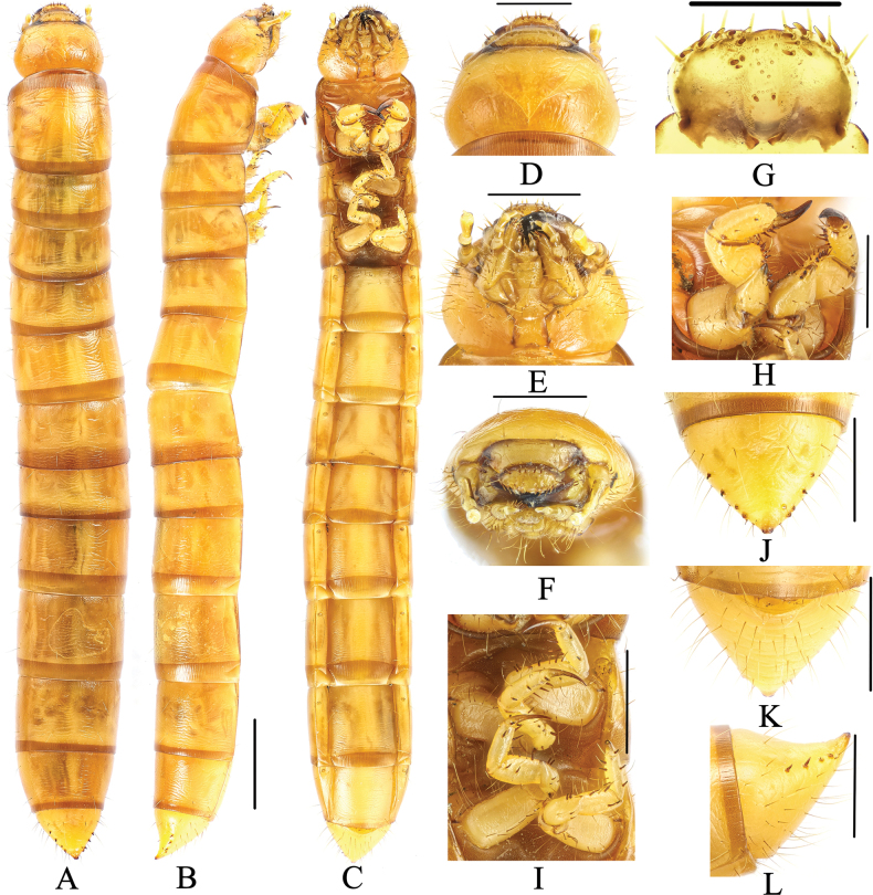 Figure 7.