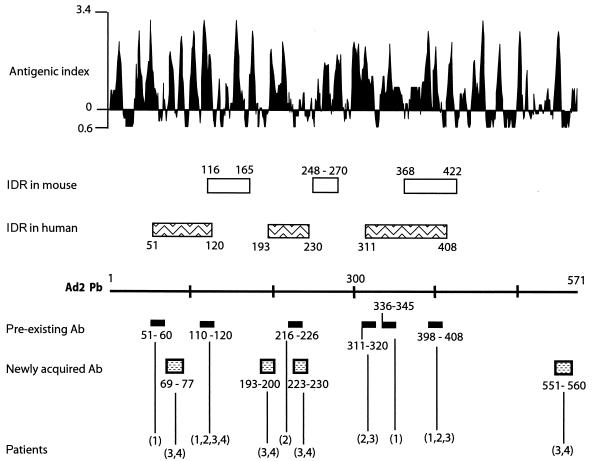 FIG. 3.