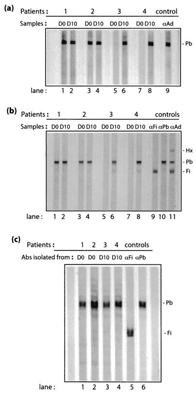 FIG. 1.