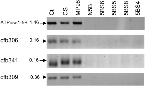 Figure 3.—