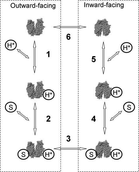 Fig. 1.