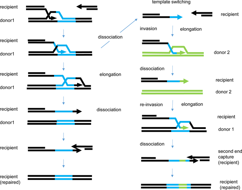 Figure 5.