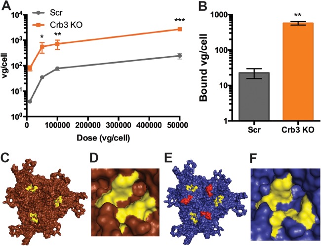 FIG 6