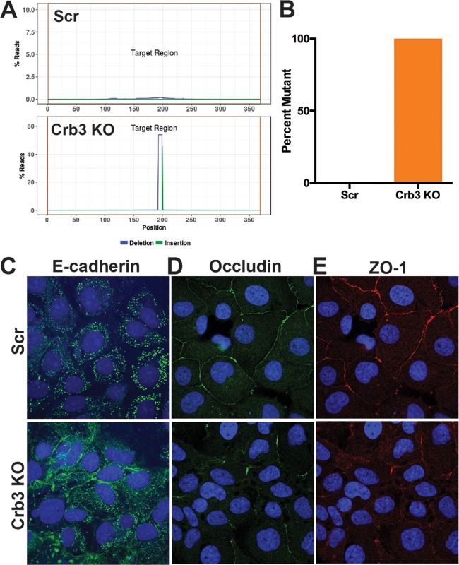 FIG 3