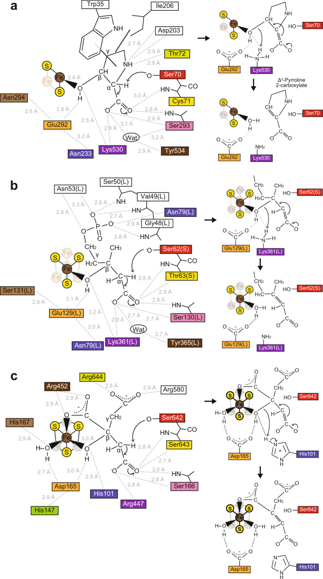 Fig. 7