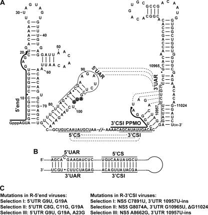 FIG. 1.