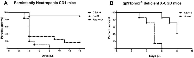 Fig. 10