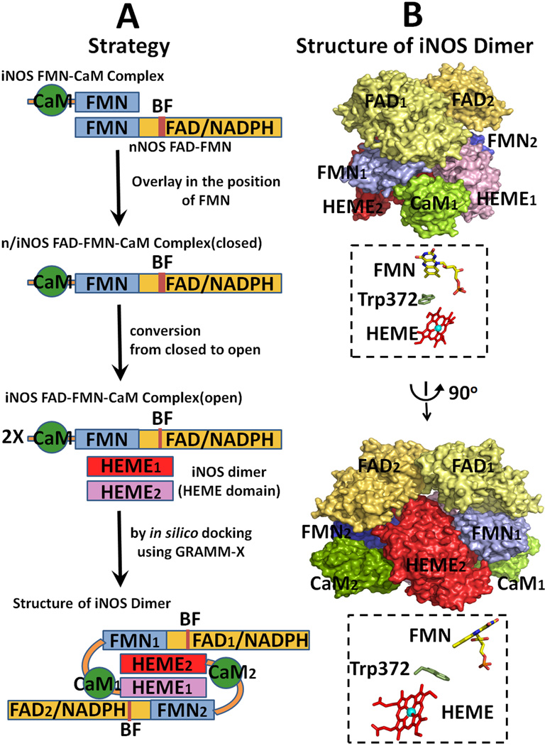 Figure 13