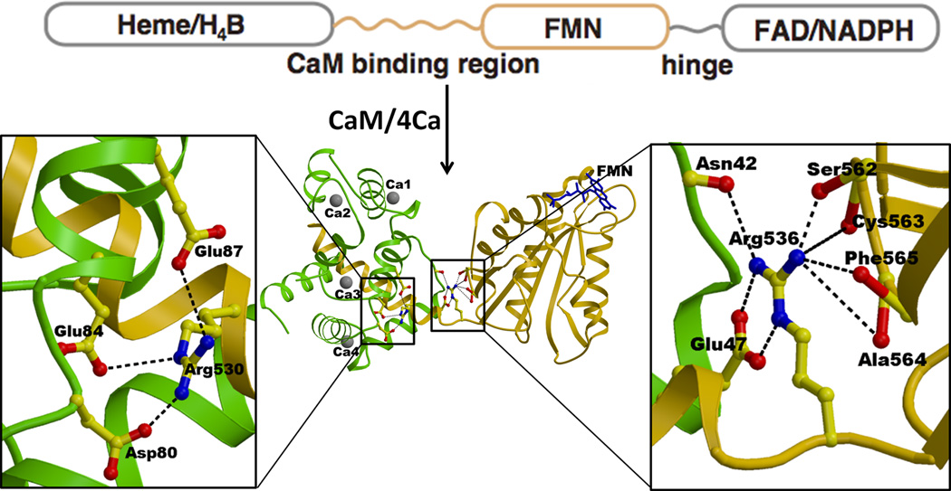 Figure 12