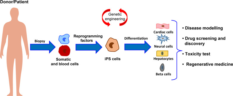 FIGURE 1