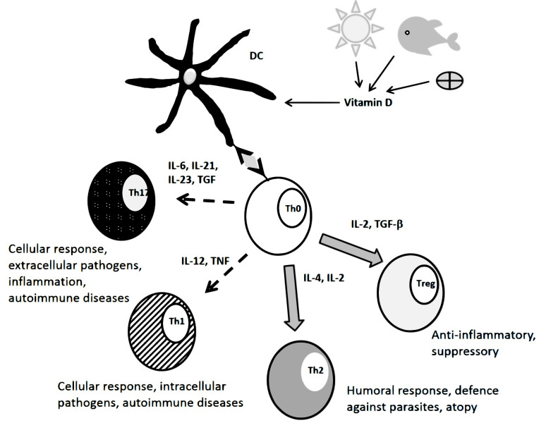 Fig. (1)