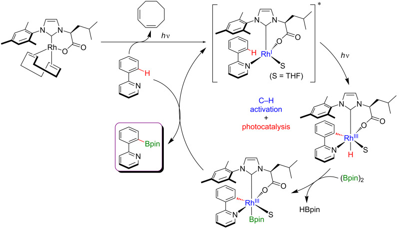 Figure 41