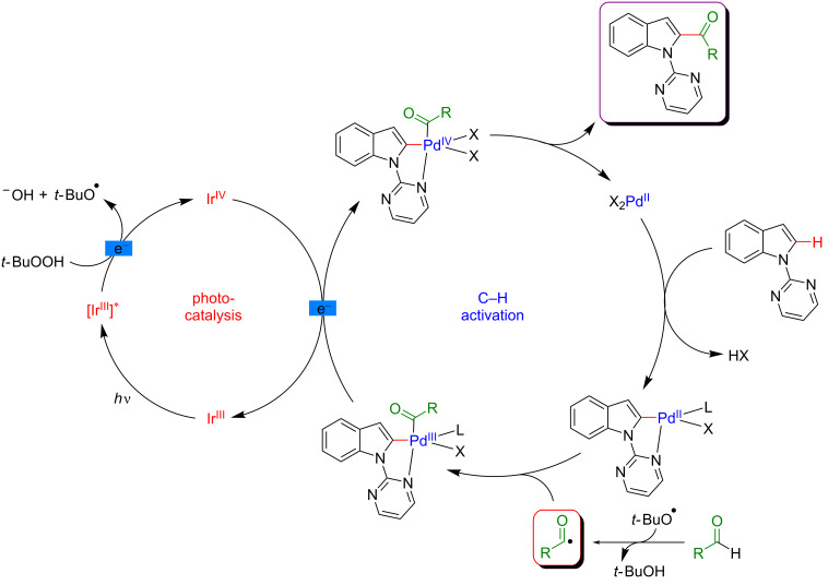 Figure 31