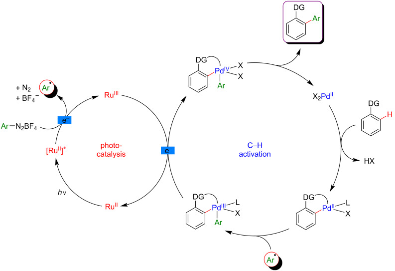 Figure 21