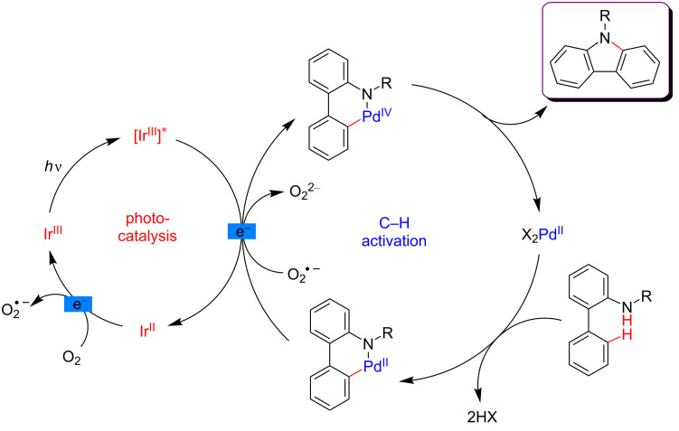 Figure 12