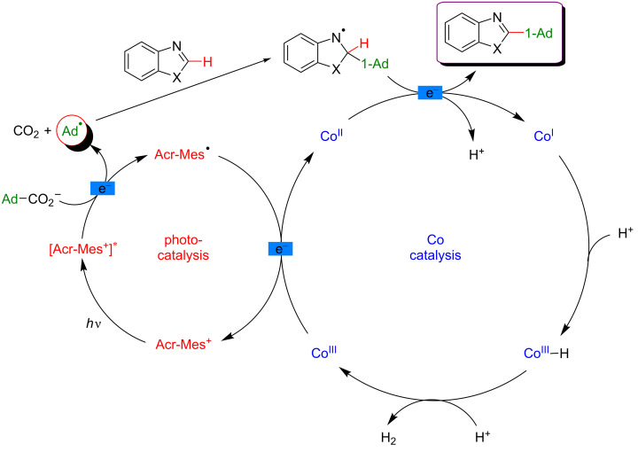 Figure 49