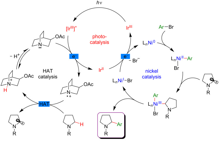 Figure 57