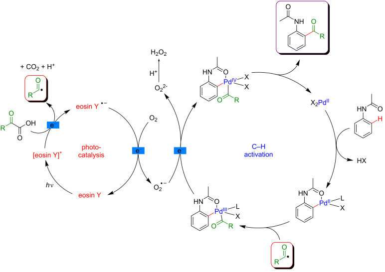 Figure 28