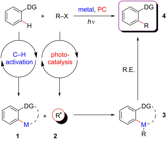 Figure 19