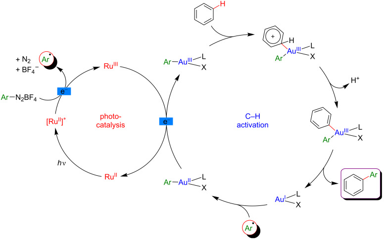 Figure 43