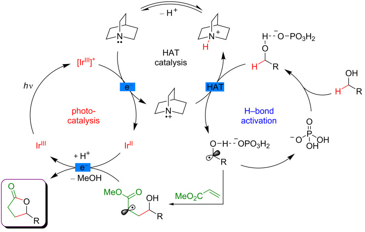 Figure 55