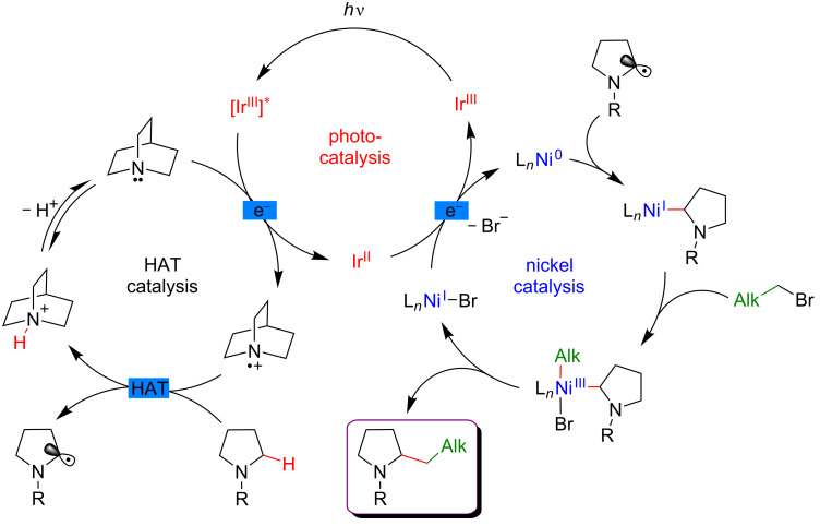 Figure 65