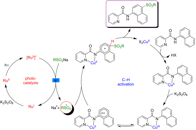 Figure 36