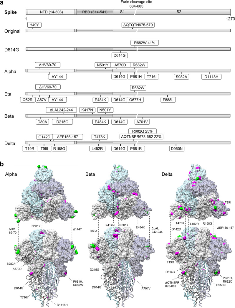 FIG 2