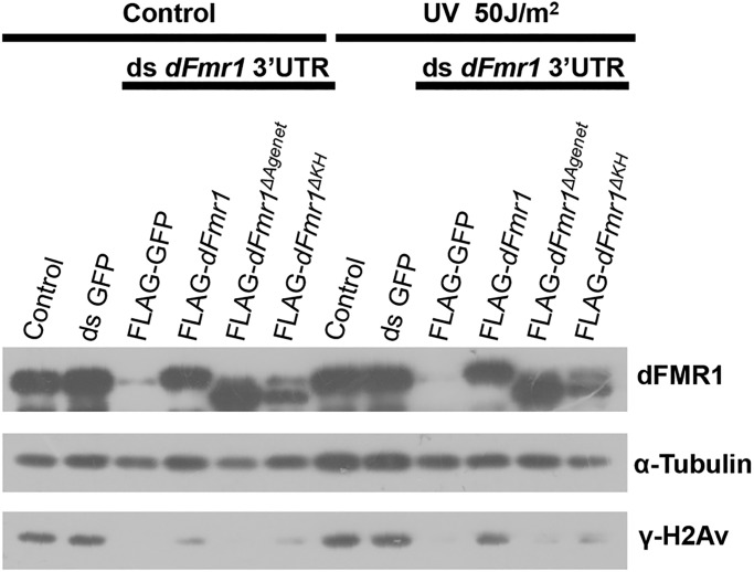 Figure 6.