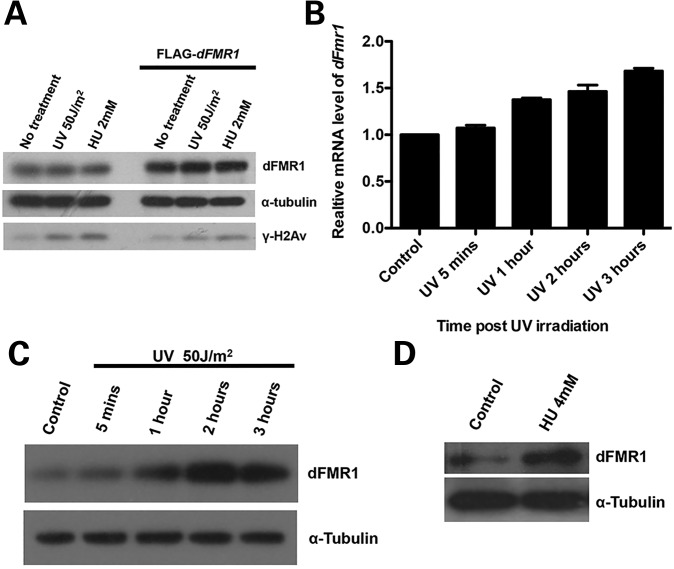 Figure 3.