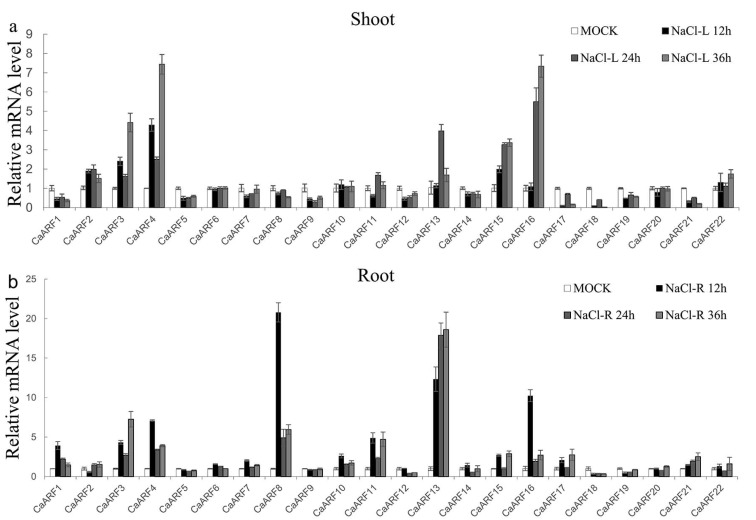 Figure 5