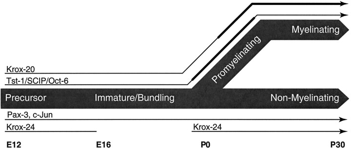 Fig. 9.