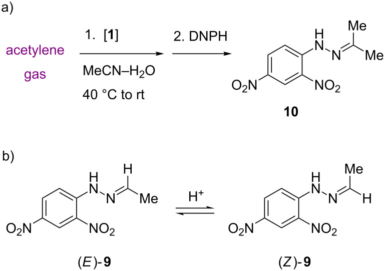 Scheme 4