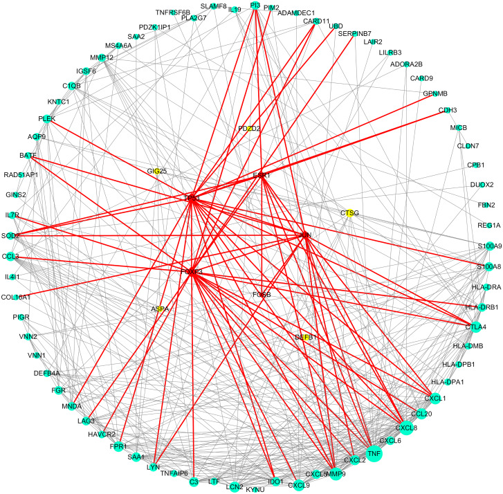 Figure 4