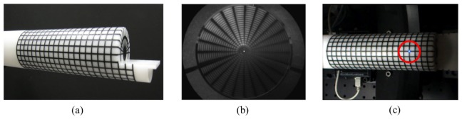 Fig. 8