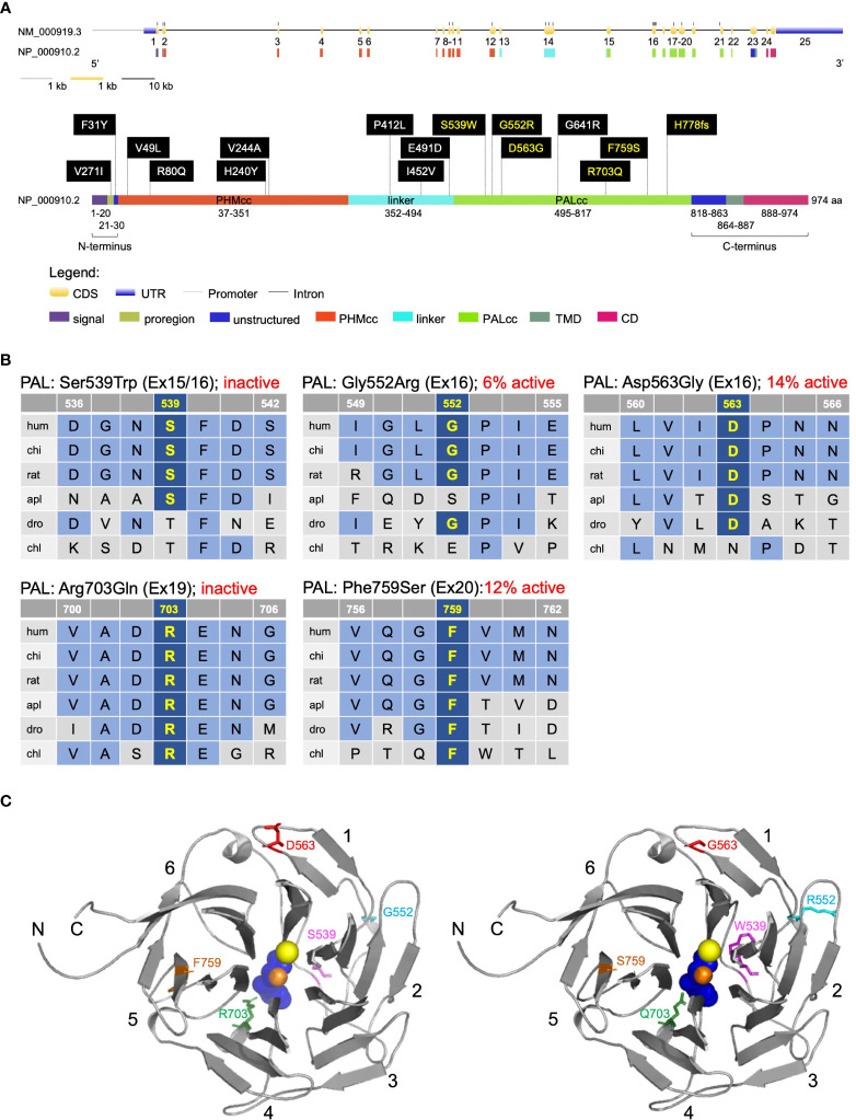 Figure 2