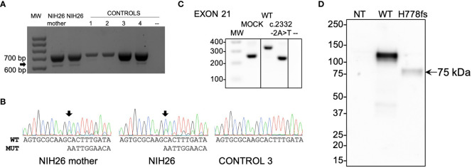 Figure 4